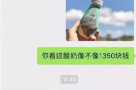 湖州为什么选择专业追讨公司来处理您的债务纠纷？